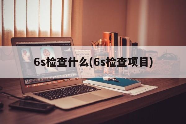 6s检查什么(6s检查项目)